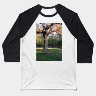 Autumn Trunk Baseball T-Shirt